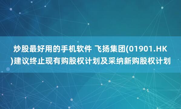 炒股最好用的手机软件 飞扬集团(01901.HK)建议终止现有购股权计划及采纳新购股权计划